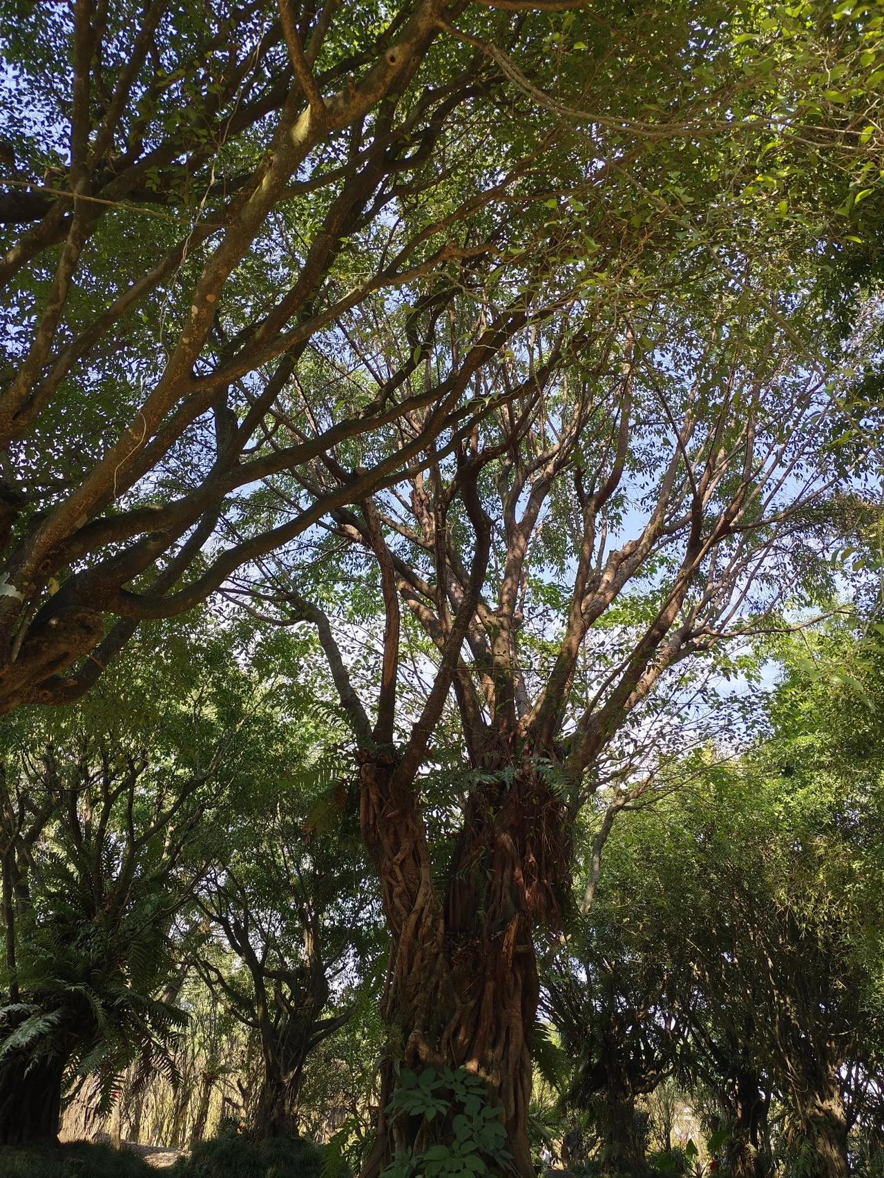 在这纷繁复杂的情感世界和生活当中，我们常常会陷入一种过度掌控的怪圈。就好像生活里