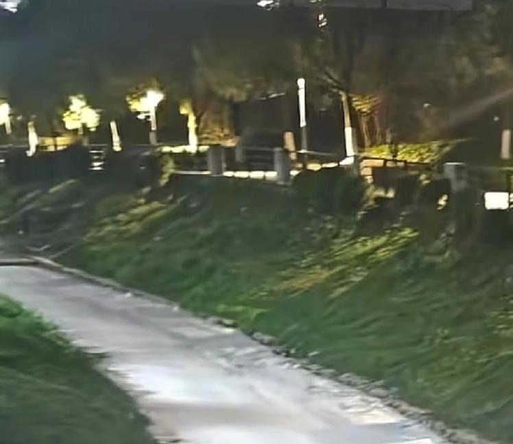 这件事情可一定要尽快处理呀广东广州，天河区有人在公园内的河边，发现河内出现大量