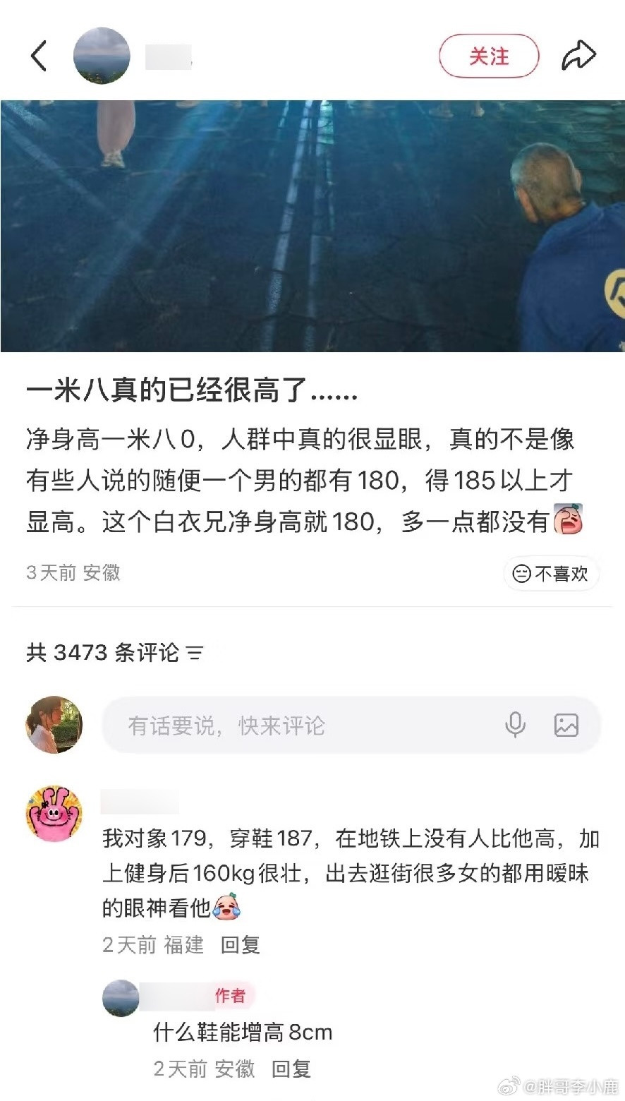 民间艺术观察