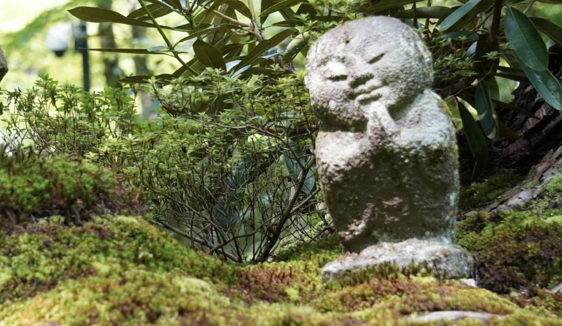 想写得长些，把心里的话慢慢掏干净，像坐在阳台上晒太阳，一坐就是一上午。读者说，太