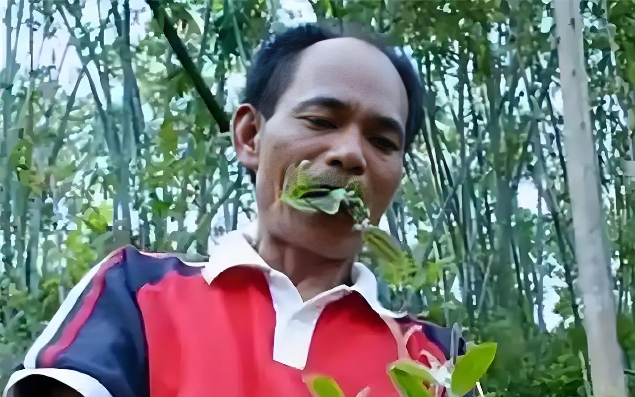1976年，重庆一男子竟然吃草吃上瘾，34年来吃掉40吨，更是把草当主食吃，从不