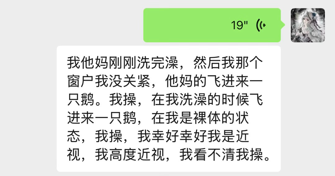 飞蛾给老子道歉！！！！！