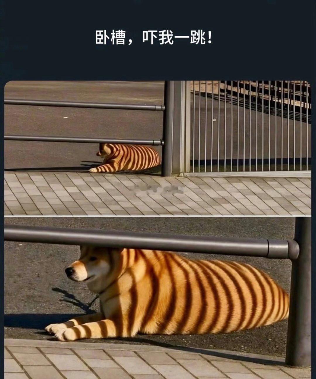 确实一眼看错