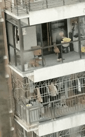 邻居之间，就不能好好相处啊