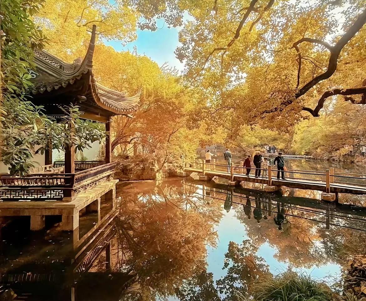 看看现在无锡的风景？现在的无锡，正处在深秋与初冬交织的“