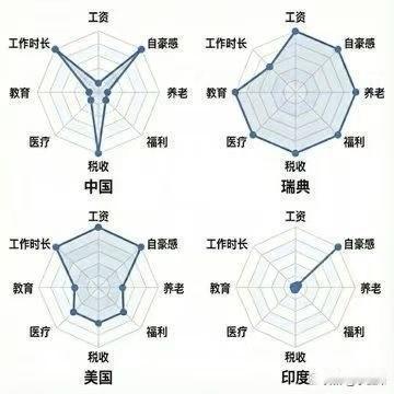 这张图展示了不同国家的福利体系对比，印度有点抽象了