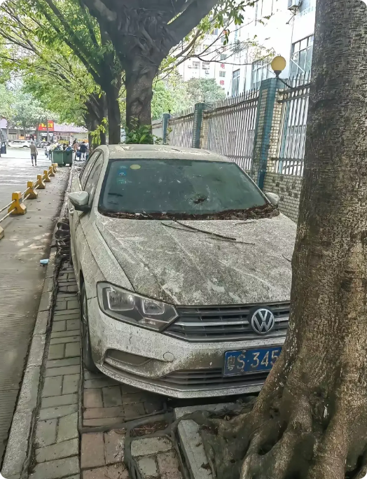 广东东莞，有一位阿姨在网上倾诉，她所住的小区外面的马路边上，有一辆白色的大众车已