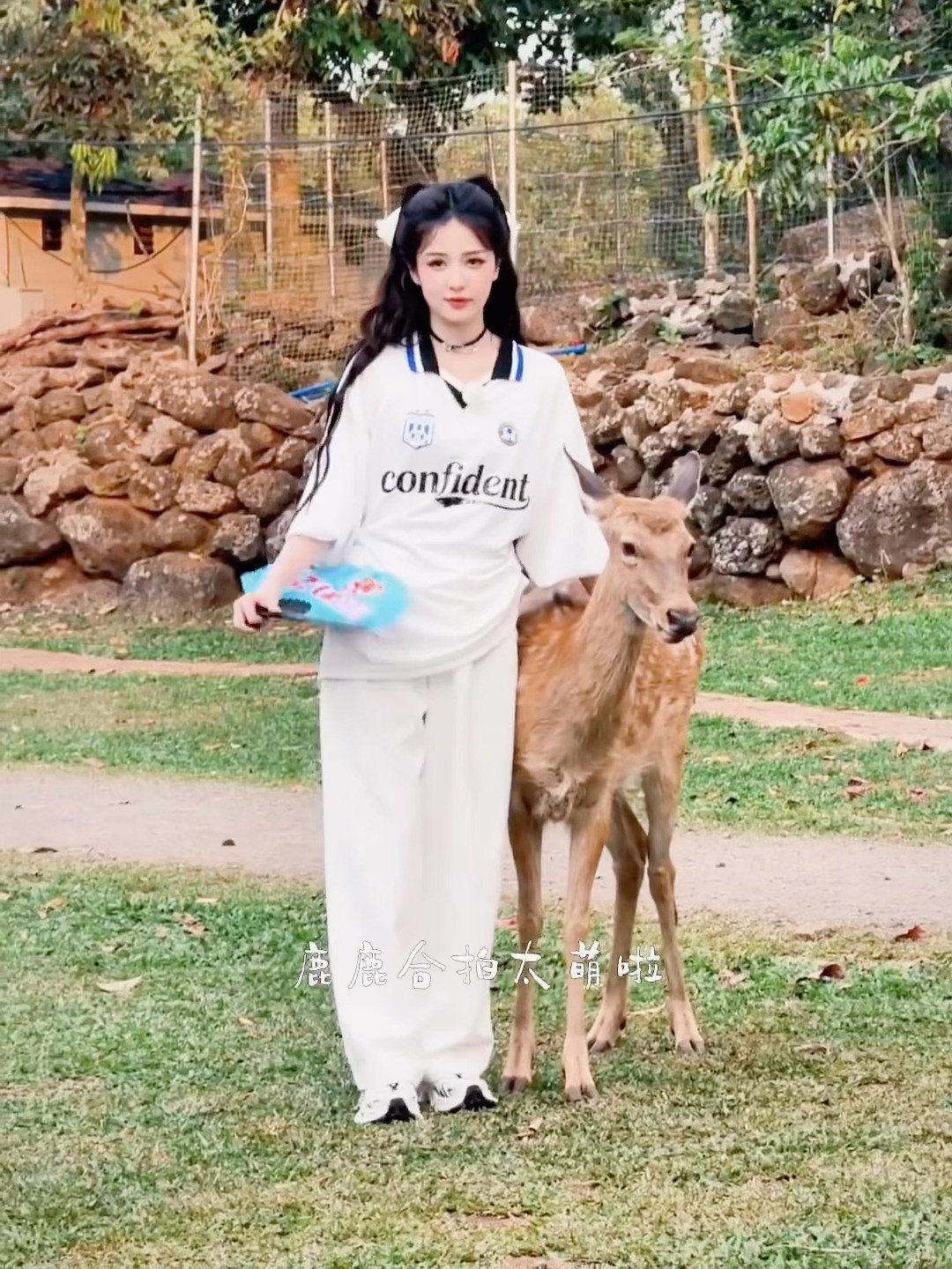 白鹿和梅花鹿合拍奔跑吧白鹿遇上了真鹿，两个鹿撞在一起。梅花鹿拼命抢镜，白鹿笑着