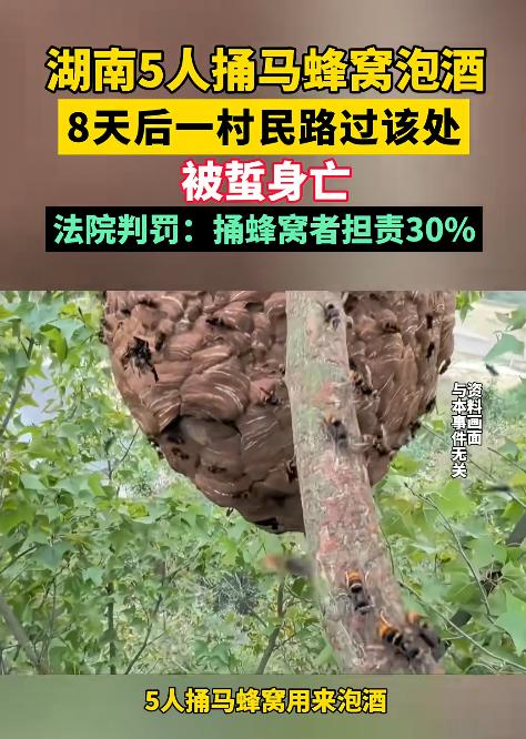 8月4日，湖南岳阳,5名村民晚上相约摘马蜂窝泡酒，事情看似已经过去，没想到8天后