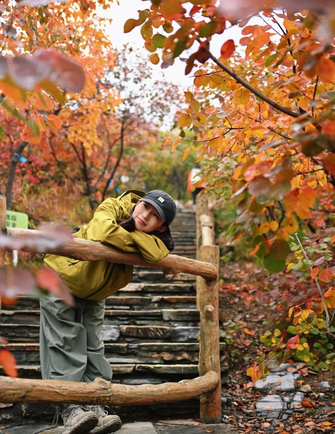 这个周末坡峰岭一定是最美的（超全攻略）🍁没想到也是在北京度上假了短暂的假