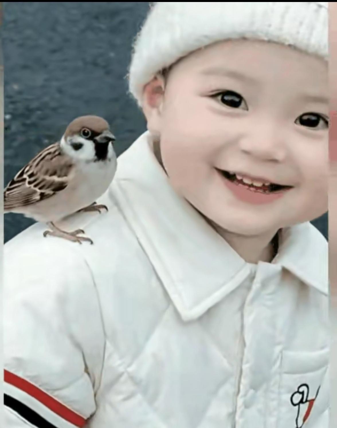 太神奇了！一非常清纯可爱的小女孩在玩耍时，突然飞来一只麻雀停在小女孩的肩膀