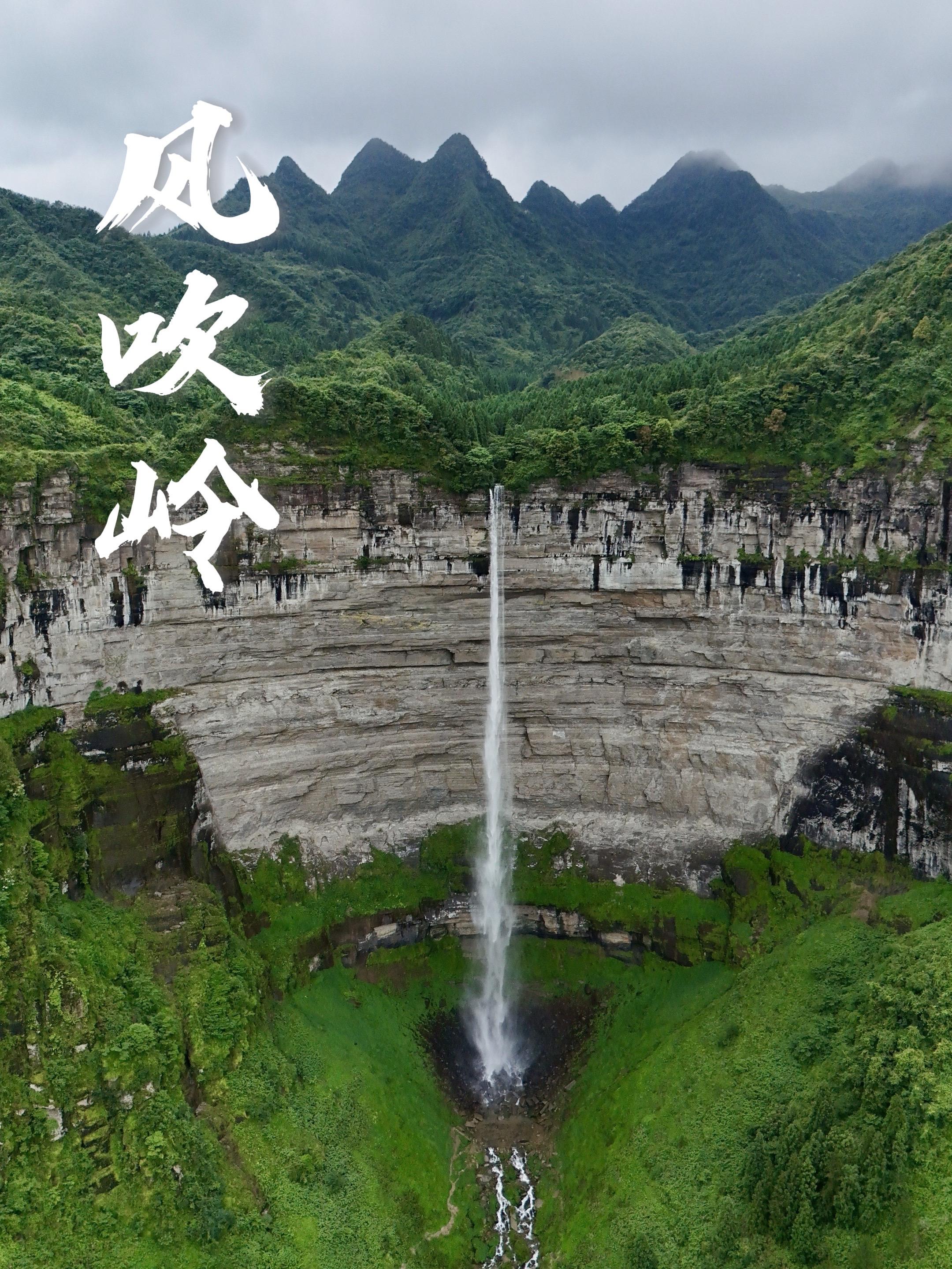重庆178风吹岭的徒步也太刺激了！爬着山钻进竹林深处，一路跟着溪流走...