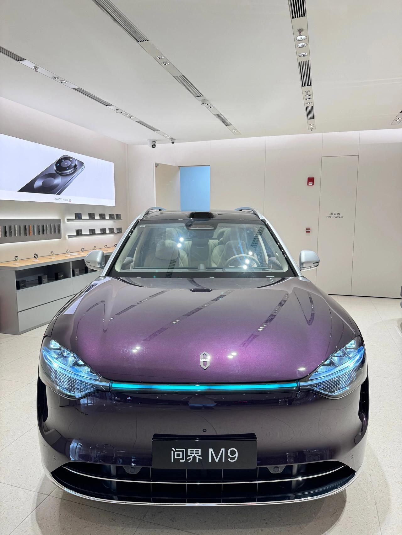 问界M9，真正的国产之光，这就是50万旗舰？商场里偶遇一台问界M9，这气势，简直