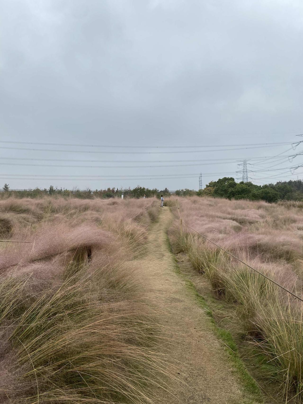 有一种男人，工作好，收入高，但你跟着他也会有吃不尽的苦头。最近我家楼上的小夫