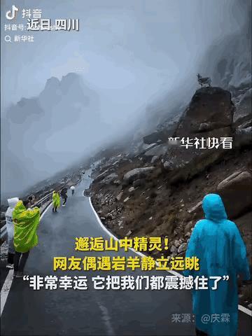 彻底解释不清了！果然连新华社都忍不住转发了。四川，一网友在莲宝叶则的山路中徒