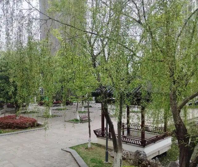 小区凉亭里，老王把烟掐灭了。他退休金差几毛四千，家里买菜他全包，说话底气足。