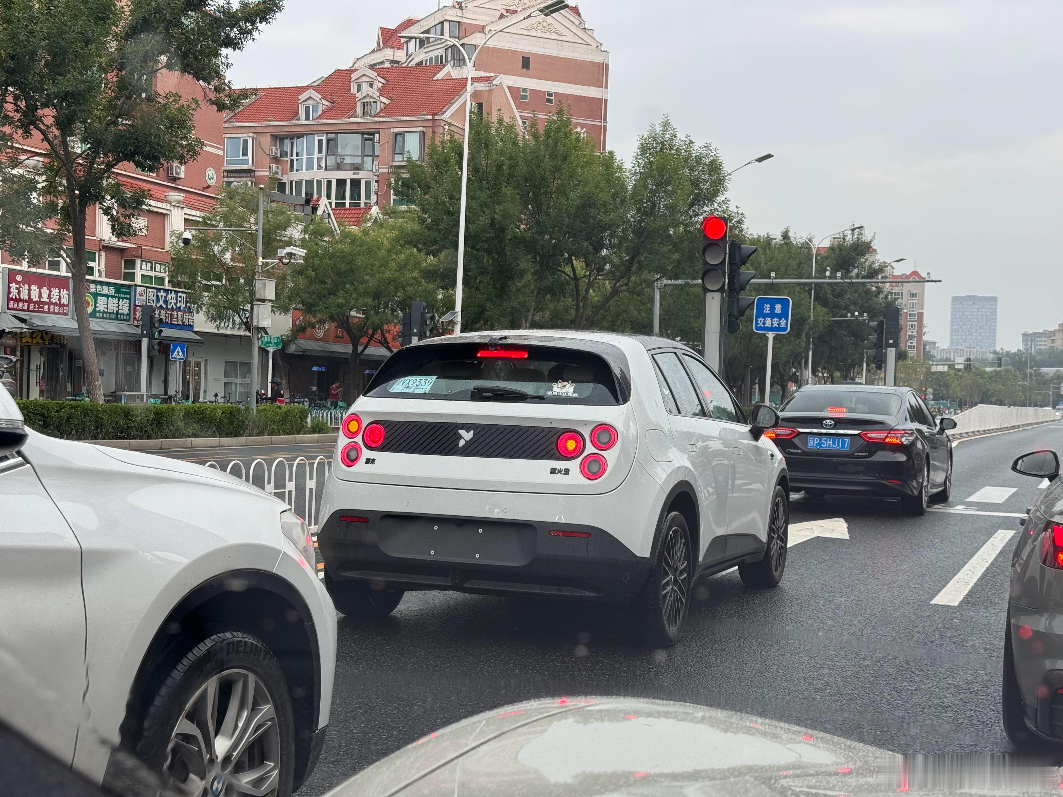 北京路上萤火虫能见度越来越高路过时候我都会看看是不是小姐姐[doge]事实证明这