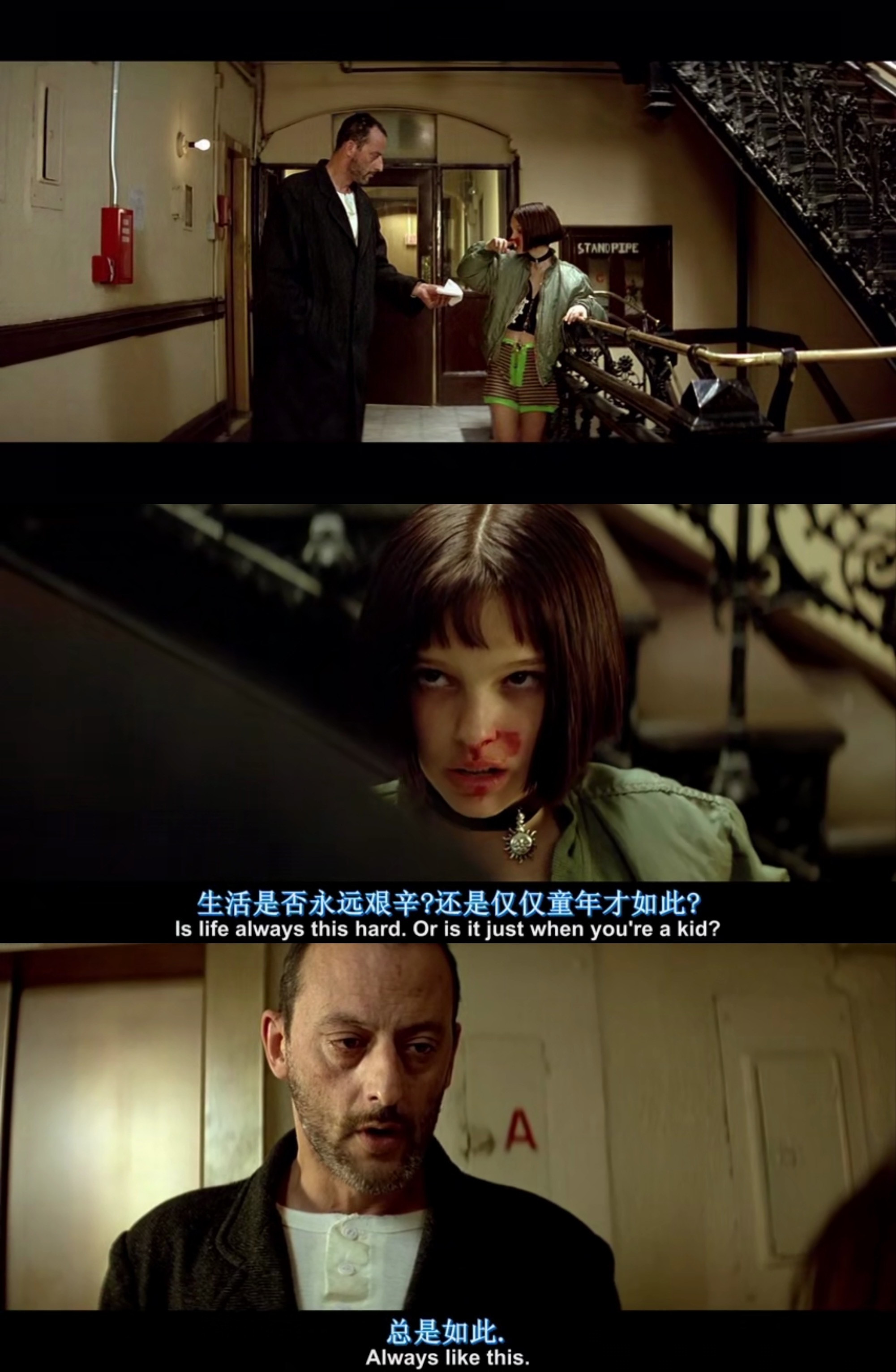 大家晚安总是如此