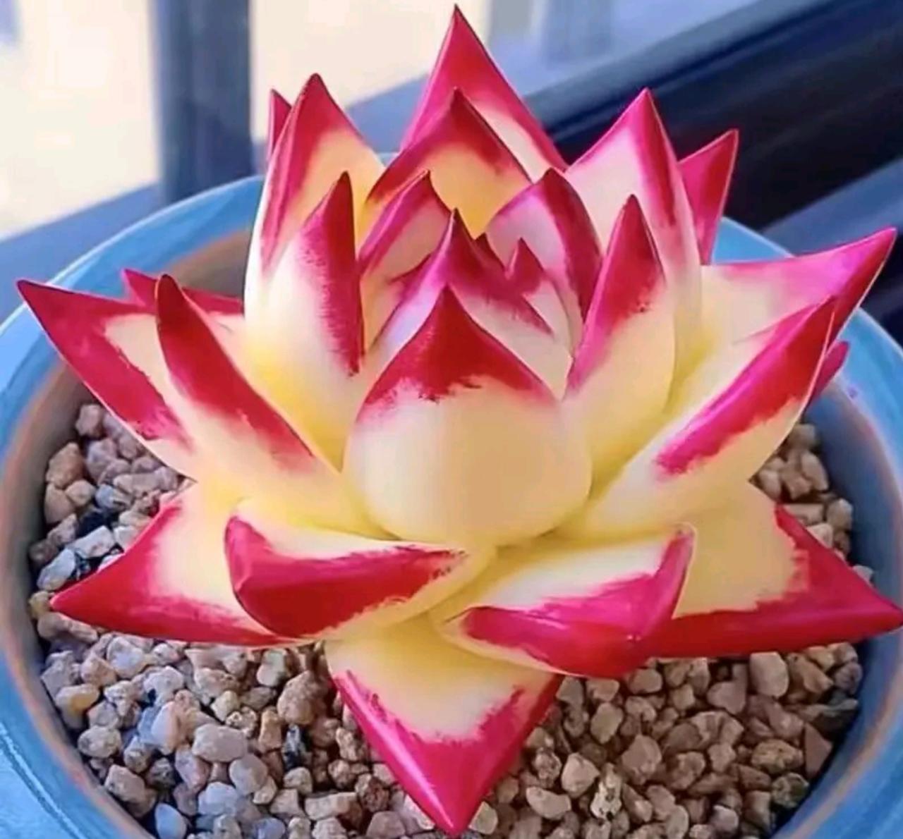 做股票是最好的，成功后就衣食无忧，但是，成功之路很漫长，如果没有成功人士引导，成