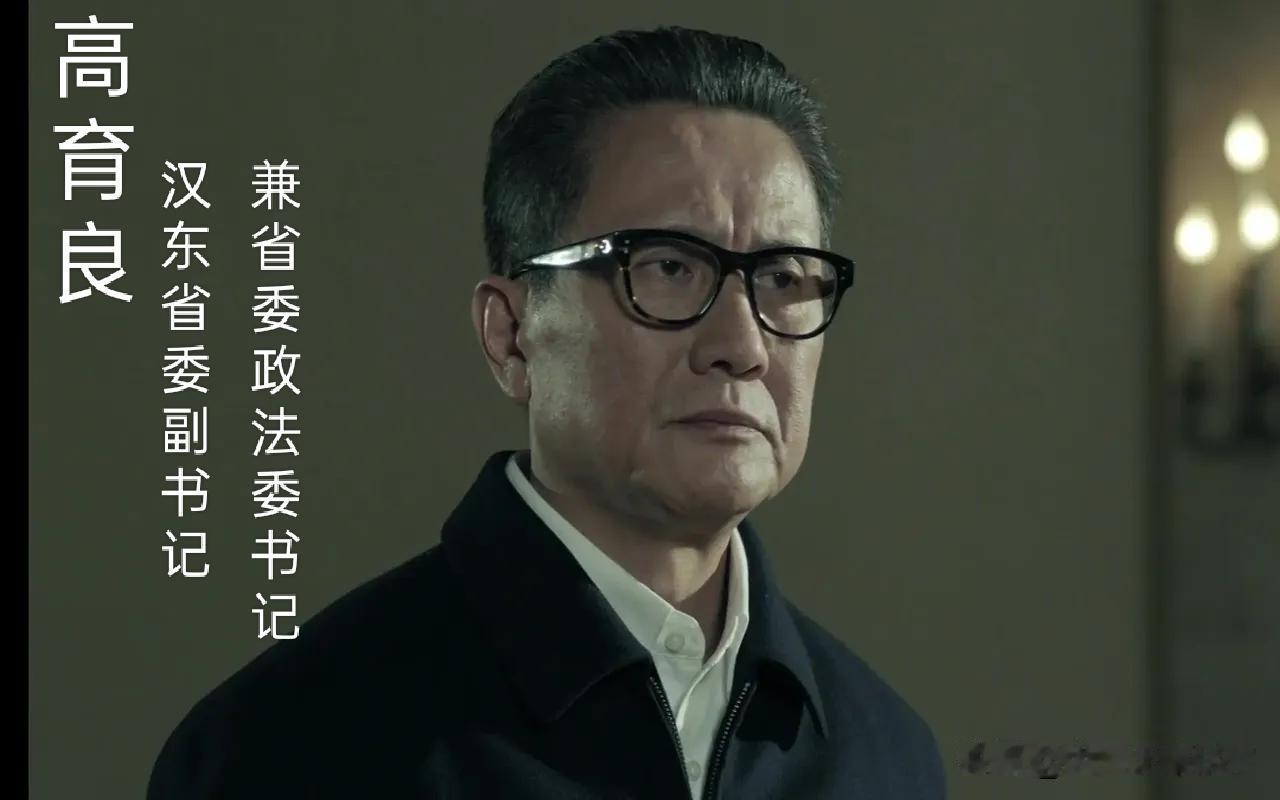 看完《狂飙》，才明白高育良的含金量，“高职务”是真高！何黎明，临江省委政法委常
