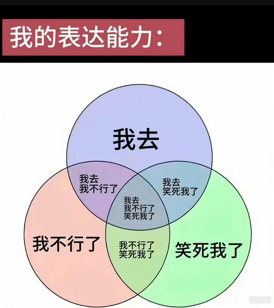 我的表达能力