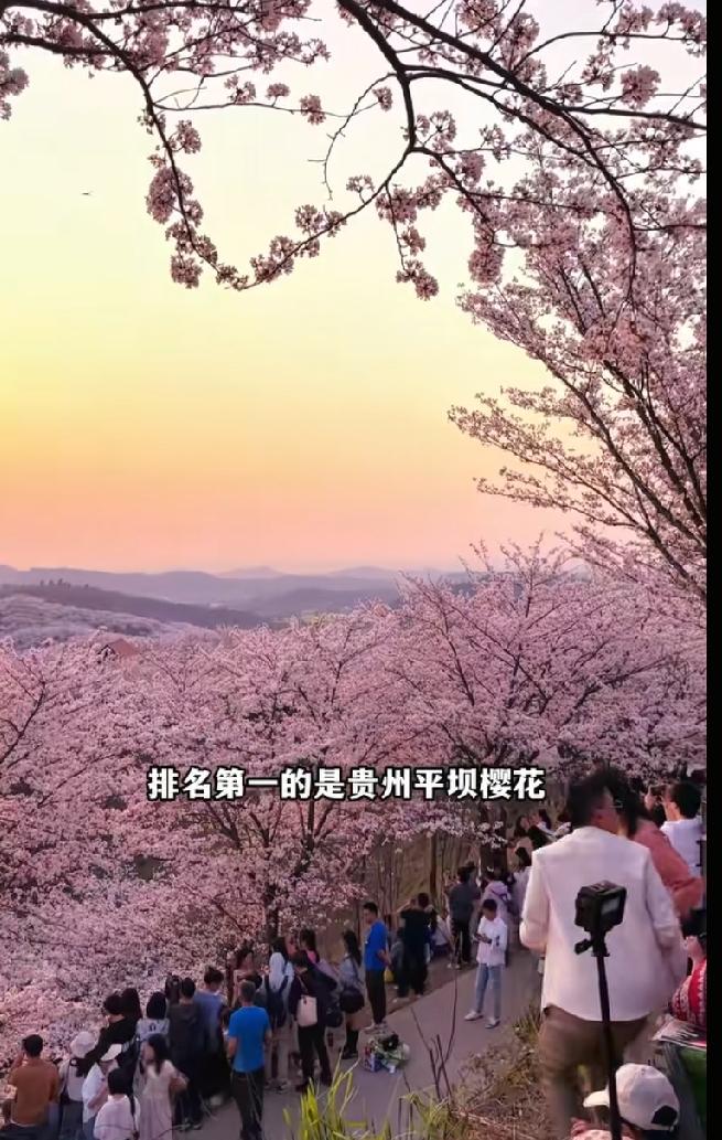 近期旅游行业接连出现整改热潮，多个此前私自封堵国省道拦车收费的知名景区，在网友爆