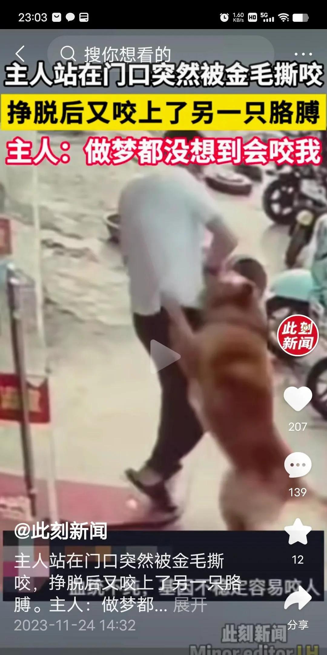 狗主人站在门口突然被金毛撕咬。这就是你们说的温顺的金毛？连给他提供食物和住所的