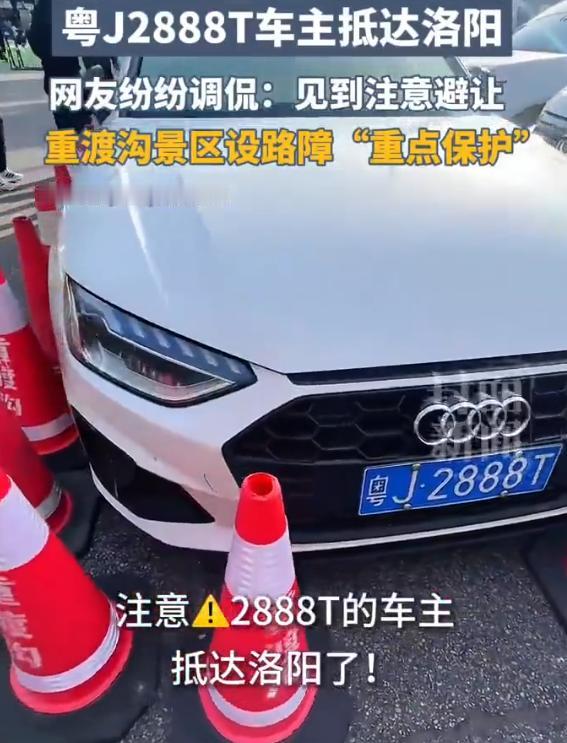 全网知名车牌抵达洛阳！重渡沟专门安排专属车位，路障一圈重点保护🔥国庆自驾圈最