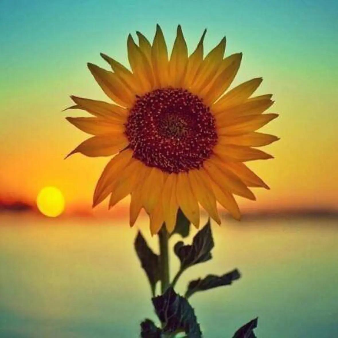 人生如一条奔流不息的河，我们曾以为必须紧握的沙砾，在时光的冲刷下，竟悄然从指缝间