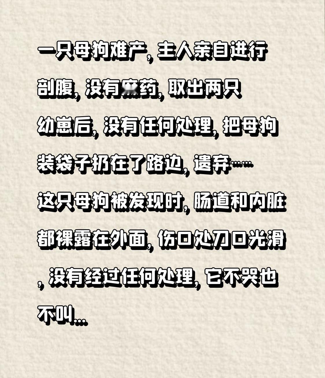 一只母狗难产，主人亲自进行剖腹，没有麻药，取出两只幼崽后，没有任何处理，把母狗装
