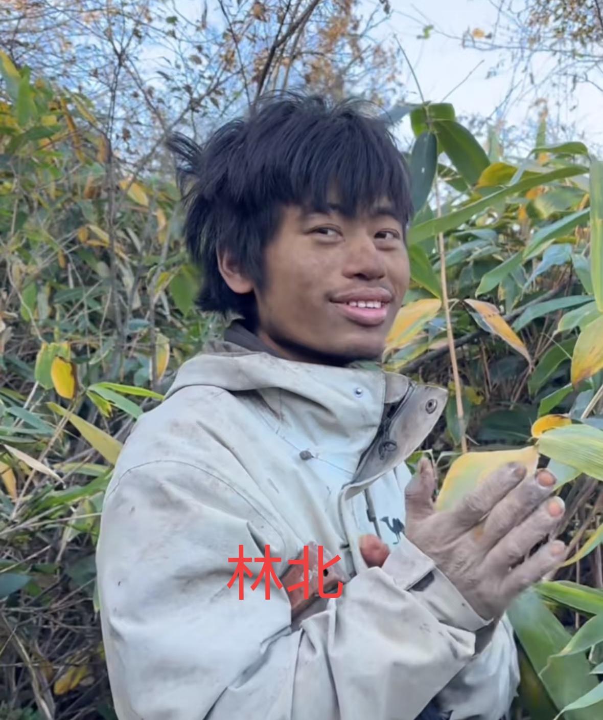 张家界荒野求生里，00后药学生林北凭一己之力横扫热度，成最受欢迎选手！别人苦熬求