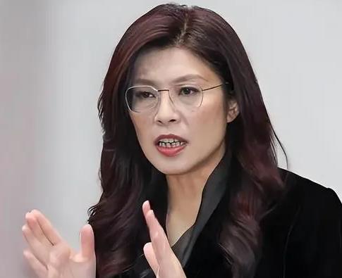 郑丽文执意访美，请不要打着台海安全和平，缔造繁荣的旗号，请不要提北京，不要提大陆