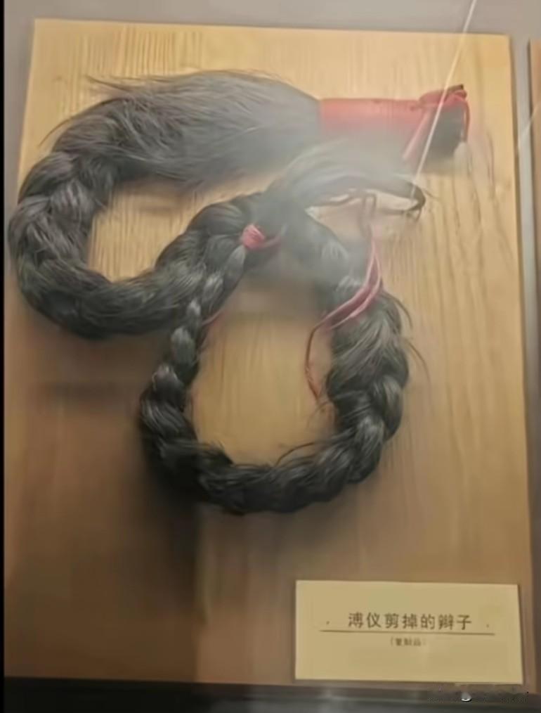 溥仪剪下来的封建辫子，像个马尾辫，他还能活到老就是仁慈，他是一个卖国的罪人当圣