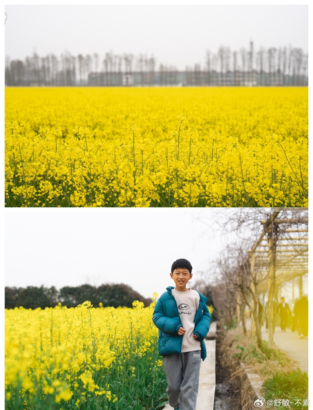 理想汽车阳春三月，杭州周边油菜花盛开！推荐一块赏花宝藏地，面积大，停车便利，定