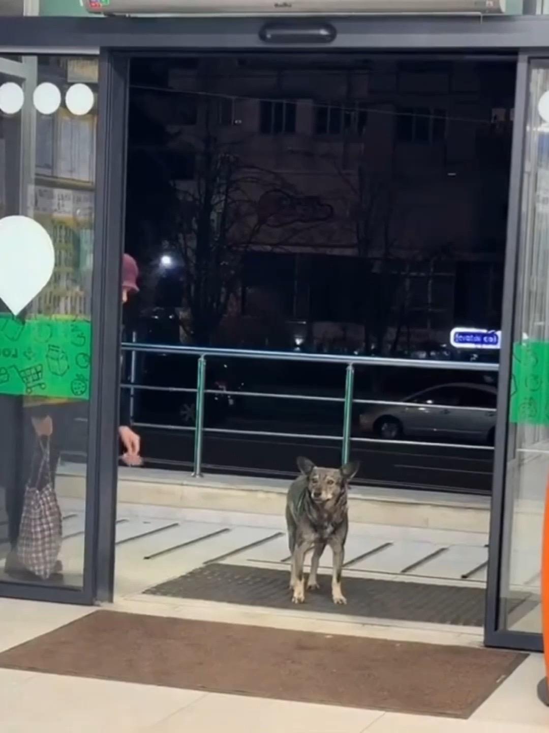 好奇是怎么找到这的