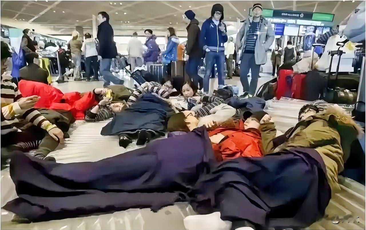 这教训也太惨痛了！这几日日本机场滞留的画面让人心疼不已，很多华人干脆在机场打地
