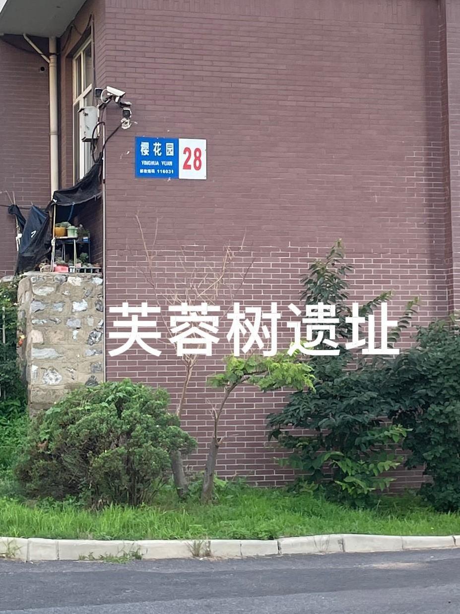 我家的房子是动迁房，2009年秋天发的钥匙，装修三个月后，2009年末我搬进了新