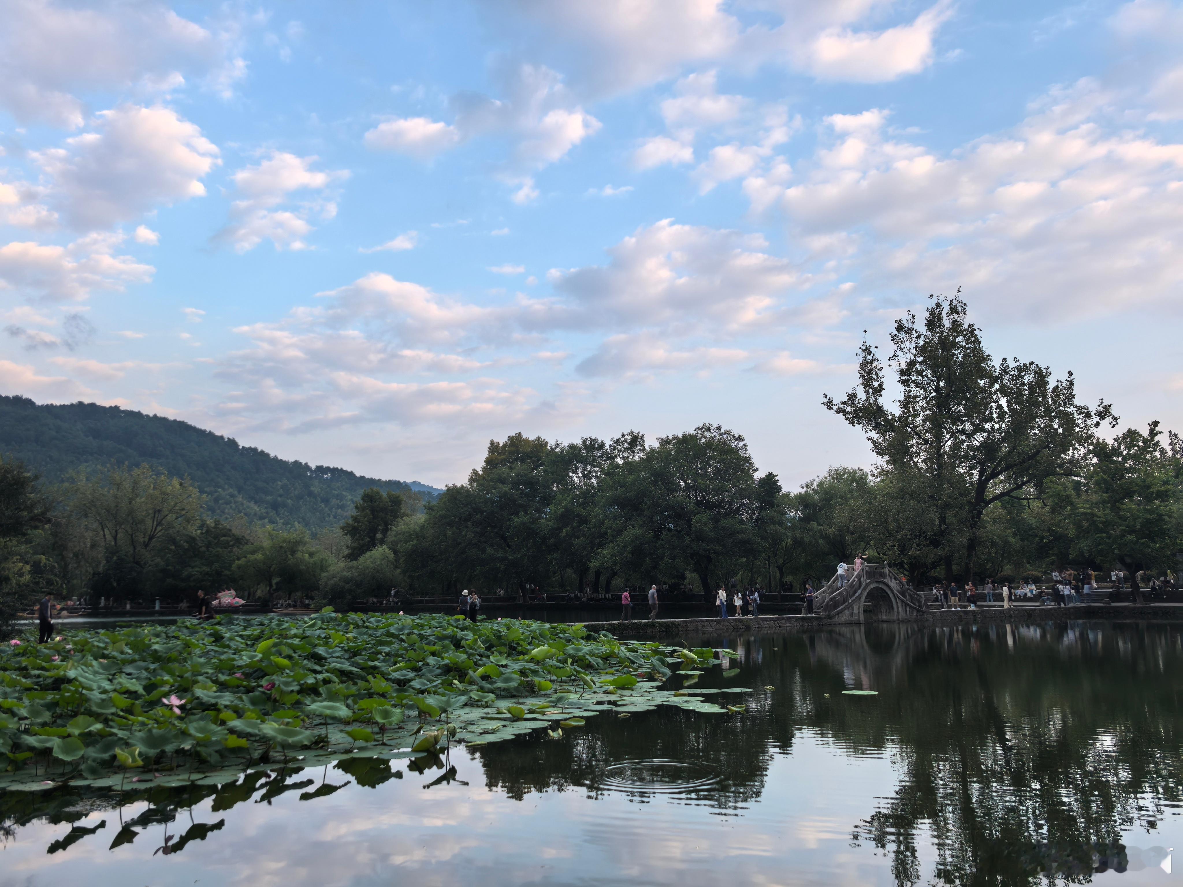 投资最难是买得多。我长期观察学习用来和格力作对比的恒瑞医药上半年增长乏力，股价又