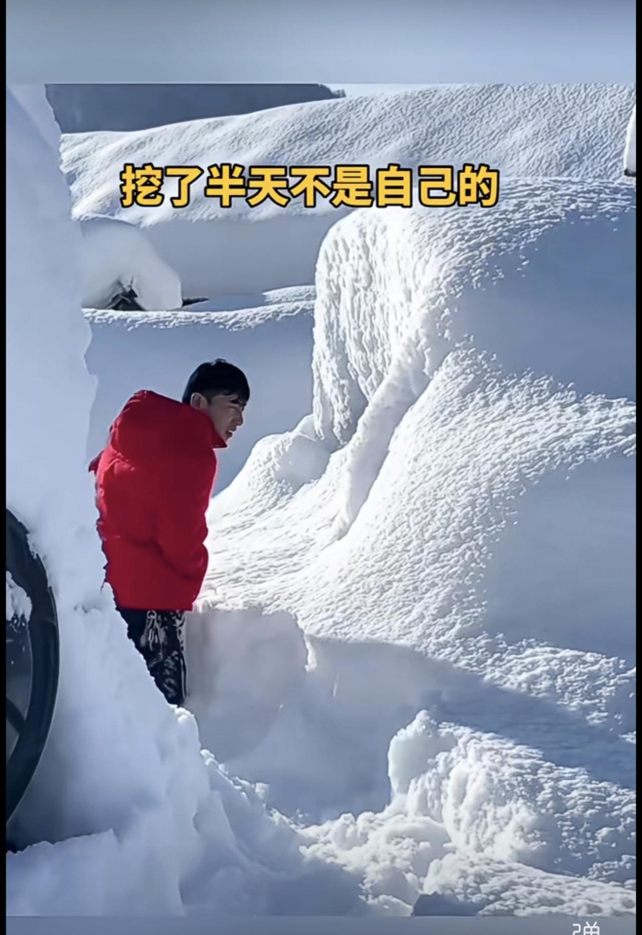 暴雪后车找不到了[捂脸哭]