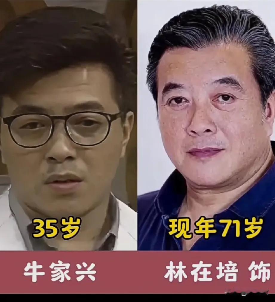 《追妻三人行》这部电视剧演员演技特别好。1989年播出的爱情电视剧，迄今为止已