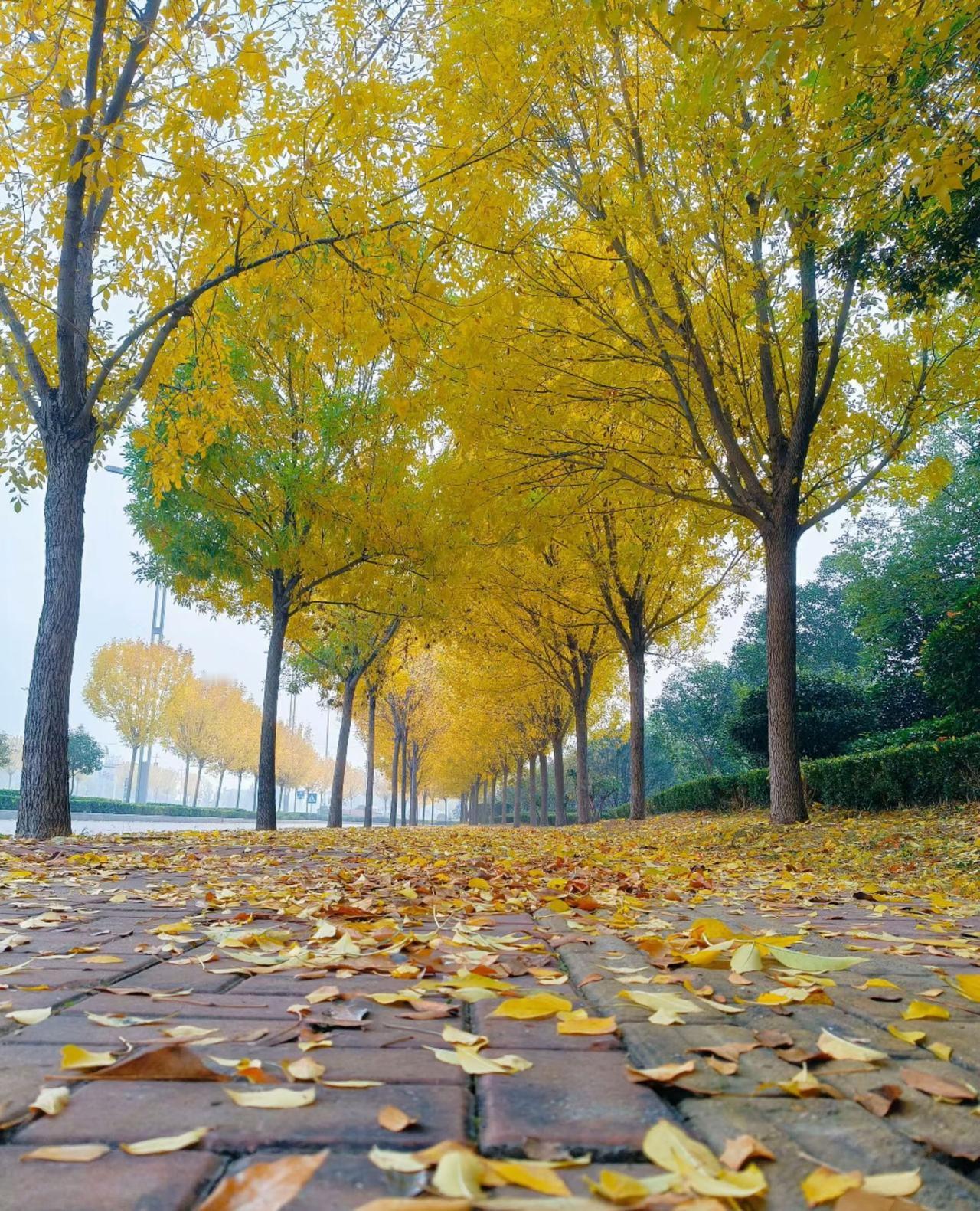 为什么小孩不能自理，人们都乐意照顾？为什么老人老了不能自理，别人都嫌弃？