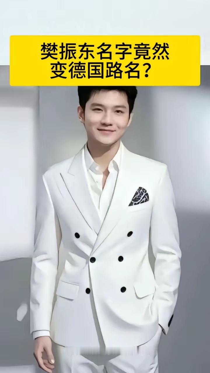 樊振东太牛啦！以一己之力把德国小城萨尔布吕肯带到了全世界面前，难怪他们要将一条新