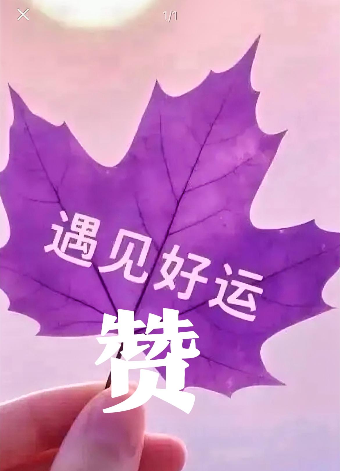 恭喜金牛、摩羯、巨蟹和天秤（4/30-5/6）好运降临——金牛座♉️强势起跑