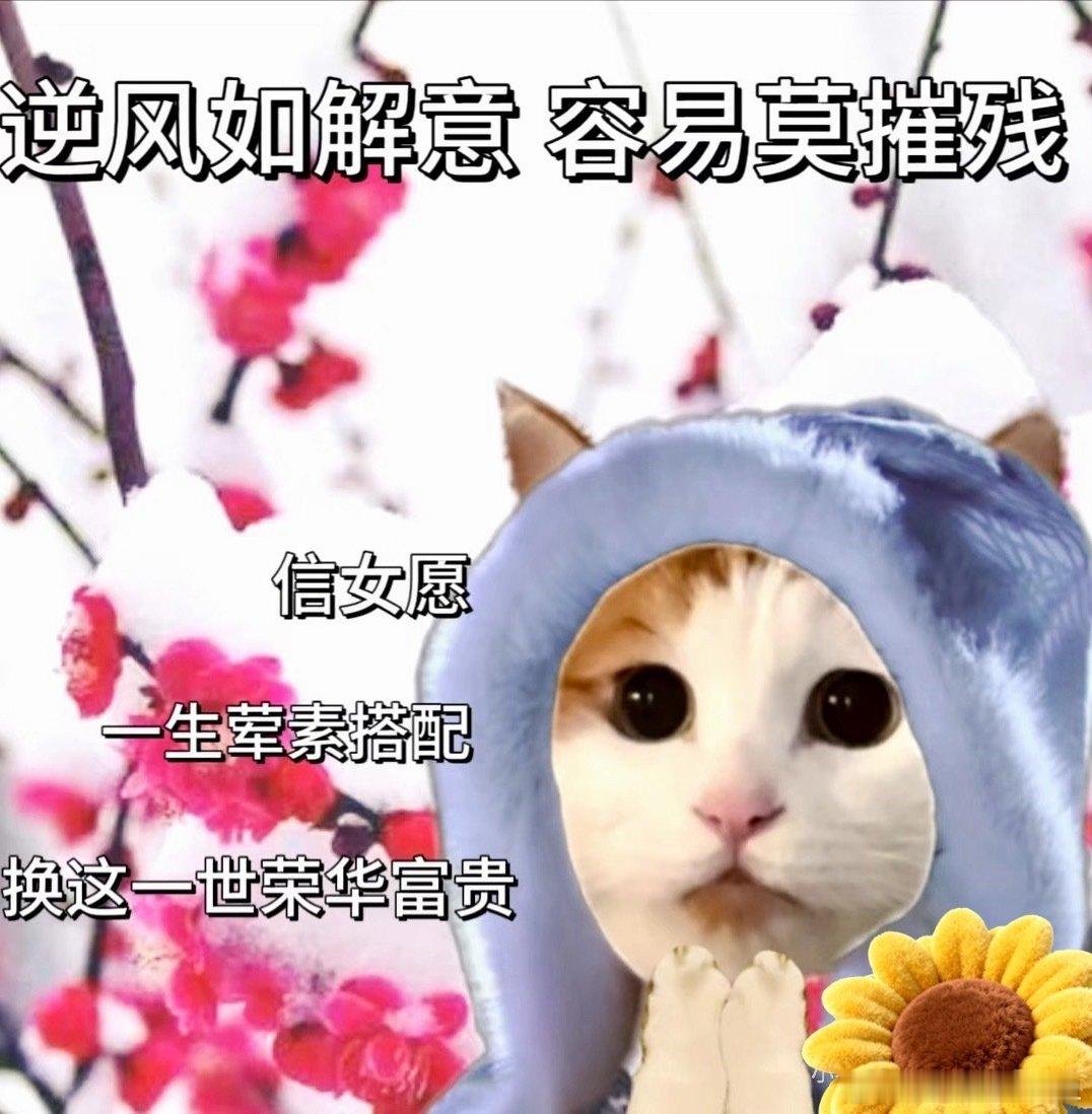 俺导师是一个位高权重的小老头百度百科上的经历有两张A4纸那么多希望这两年能和导师愉快相处我也会特别敬