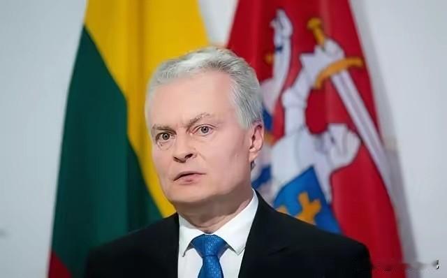 就在立陶宛总理连夜认怂，准备亲手摘下“台湾代表处”招牌时，总统瑙塞达却突然调转枪