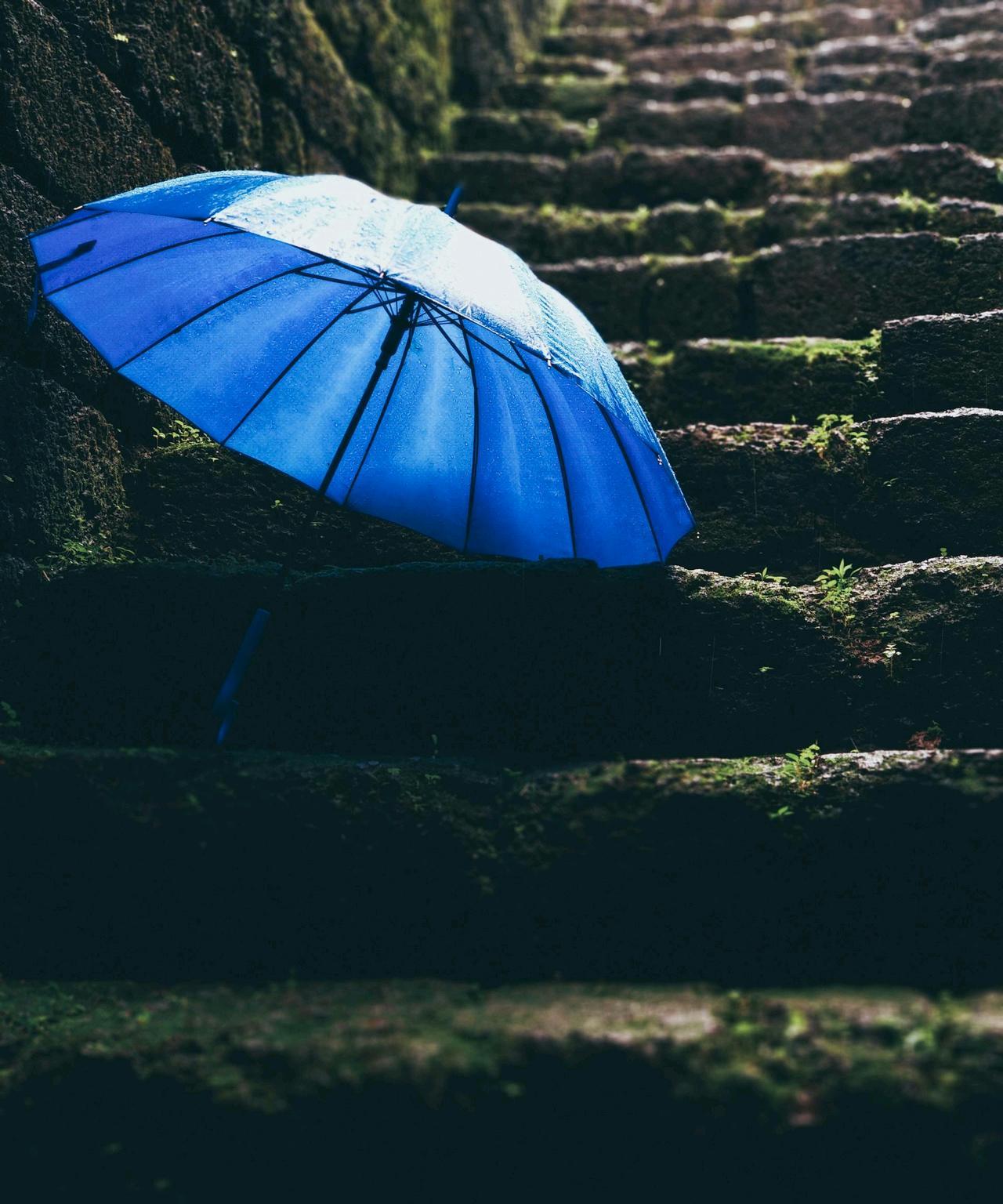 很扎心的一段话:“我用婚姻十年悟出了一个道理，人生的另一半，如果选错了，就会尝尽