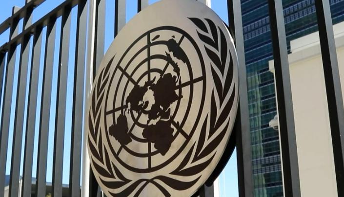 中俄弃权，安理会13票赞成美国主导向加沙派兵，哈马斯被彻底孤立哈马斯这次将要面