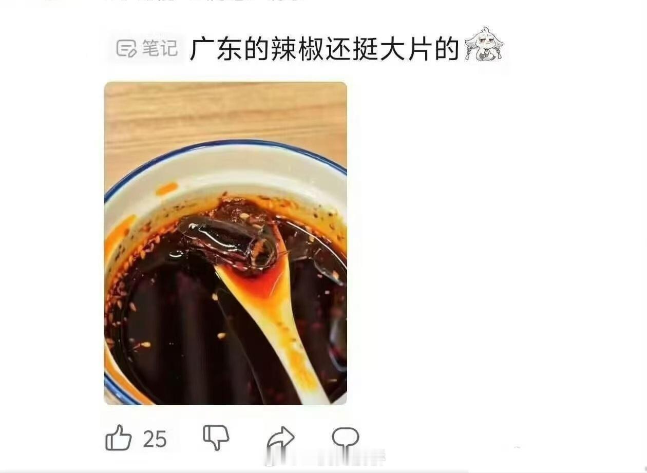 这么大片的辣椒，口味一定很好。😋