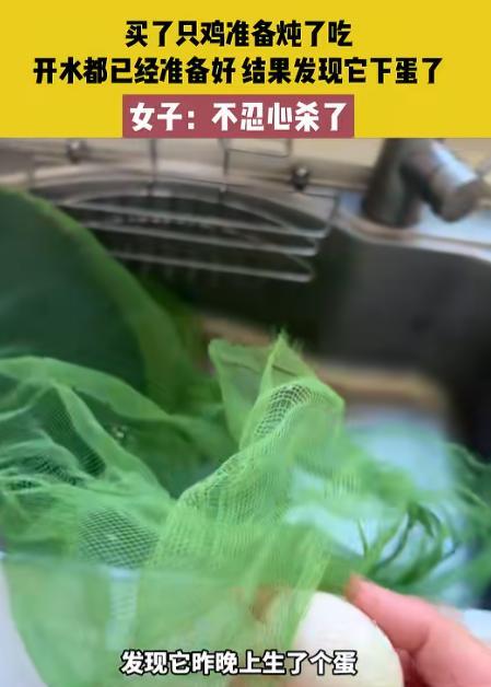 “笑不活了！”江西鹰潭，女子去乡下买的活鸡，准备炖肉，水烧开。突然发现鸡下了个蛋