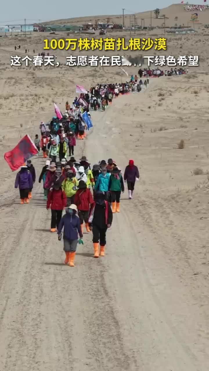 4万年轻人跨越千里奔赴沙漠，100万株树苗扎根民勤，这才是顶流该有的样子 民